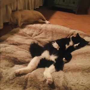 Meet your Posher, Caitlin